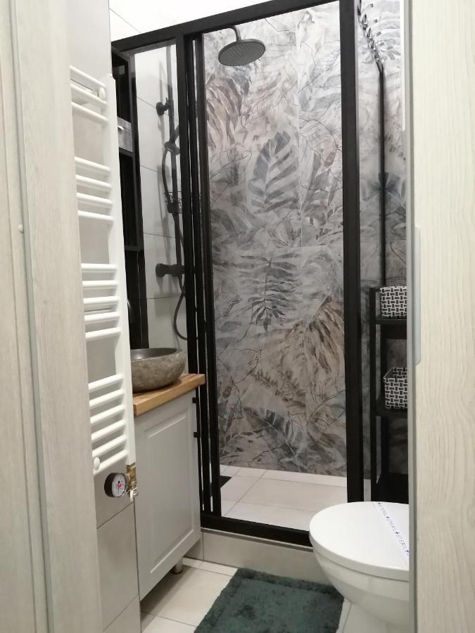 Hanna Apartman Segedín Exteriér fotografie